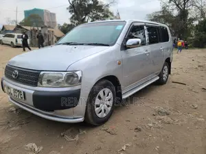 Toyota Probox 2010 Silver