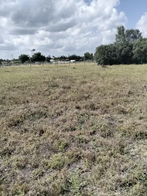 Plot for Sale in Kitengela