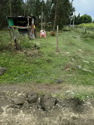 North KINANGOP, Mumui 2 Quarter Acre Plots