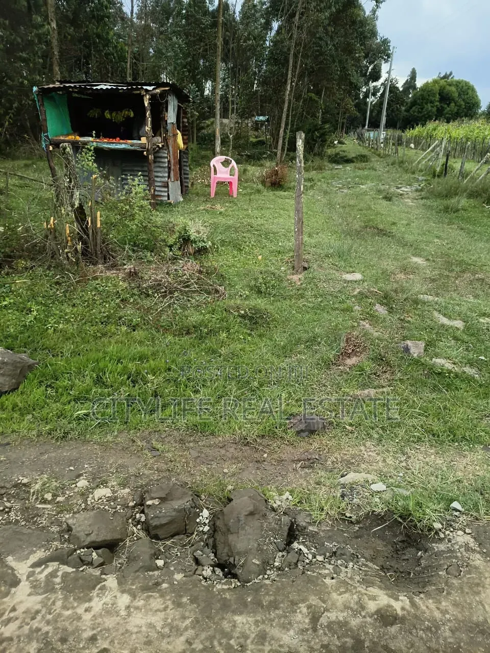 North KINANGOP, Mumui 2 Quarter Acre Plots