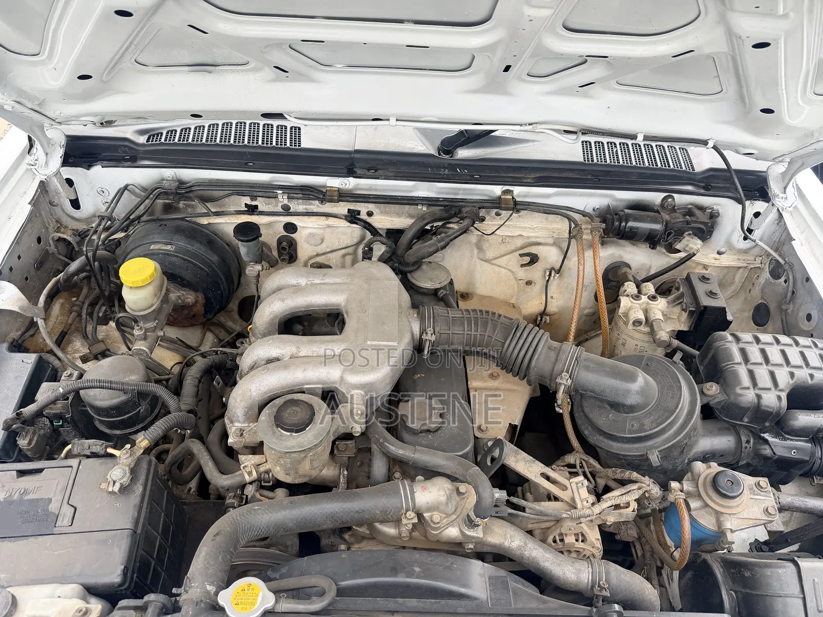 Nissan Hardbody 2009 White