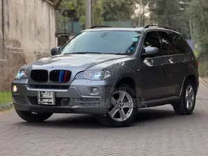 BMW X5 3.0i 2007 Gray