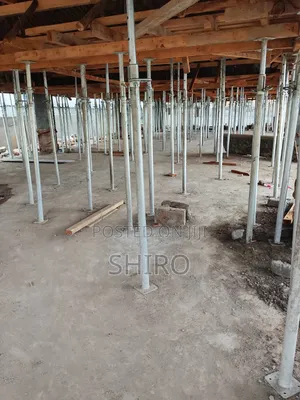 Best Scaffoldings Props Available