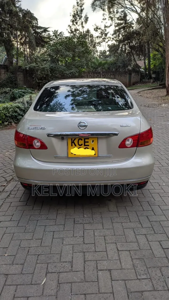 Nissan Bluebird Sylphy 2006 Gray