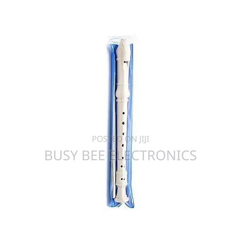 Flute Recorder With Fingering Chart - main view