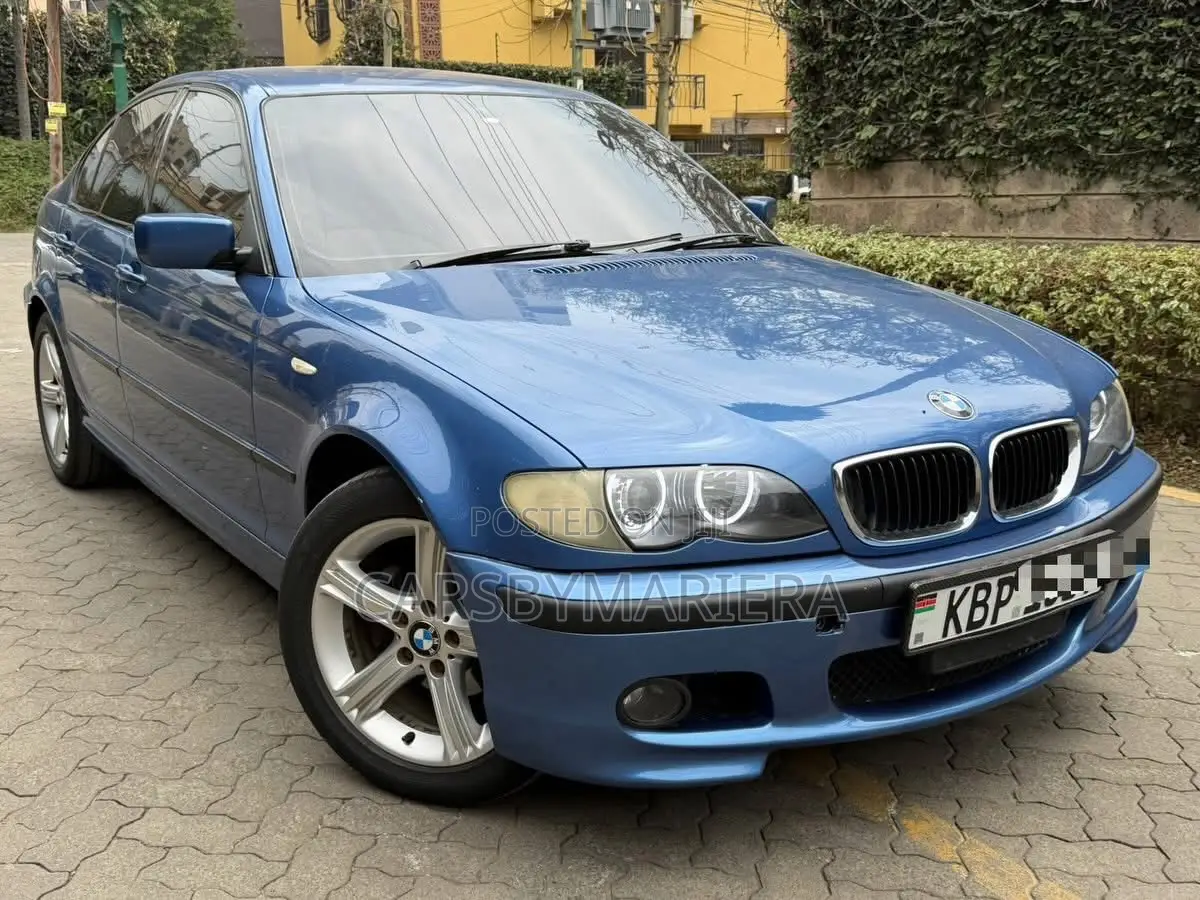 BMW 318i 2004 Blue