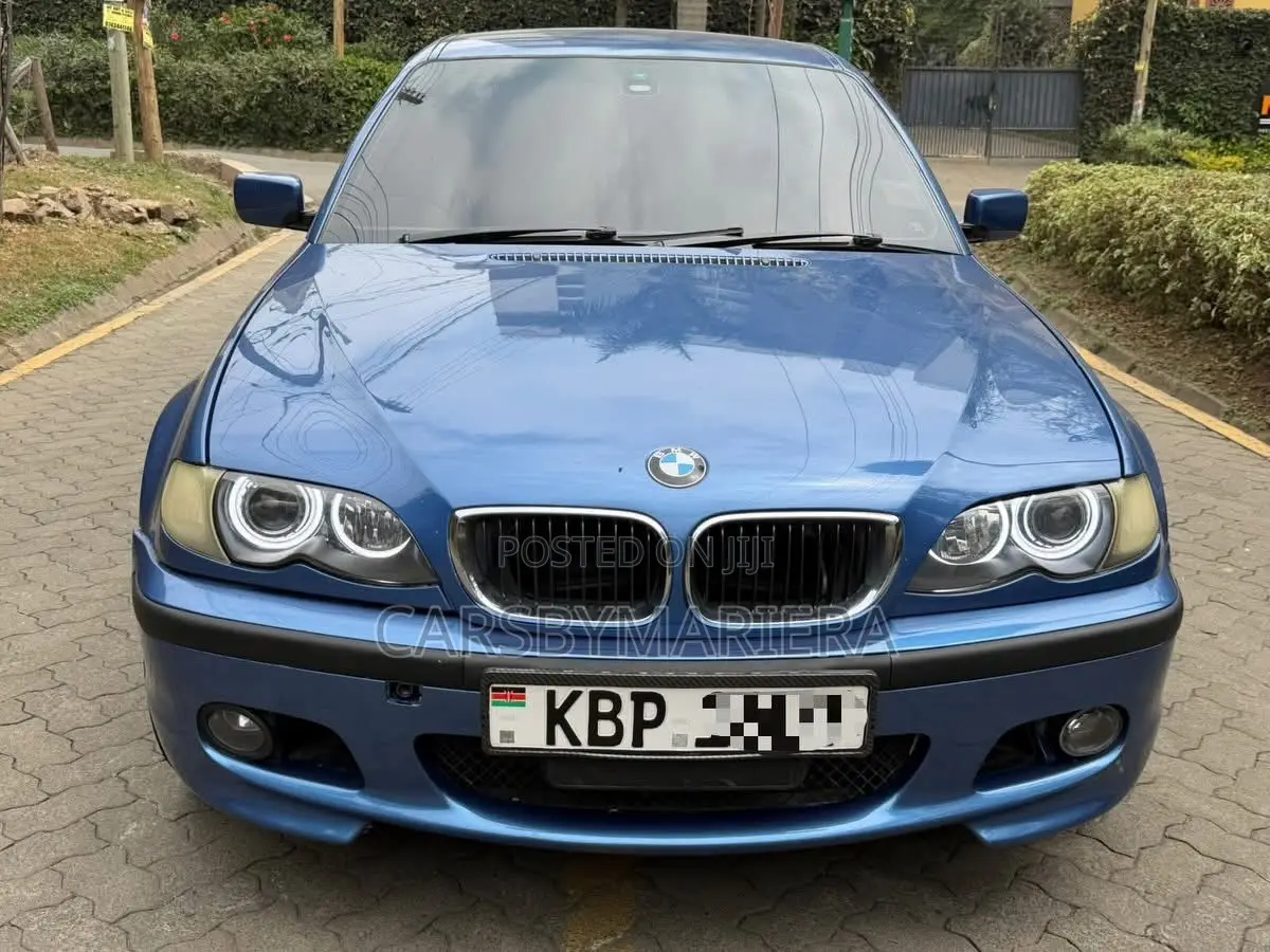 BMW 318i 2004 Blue
