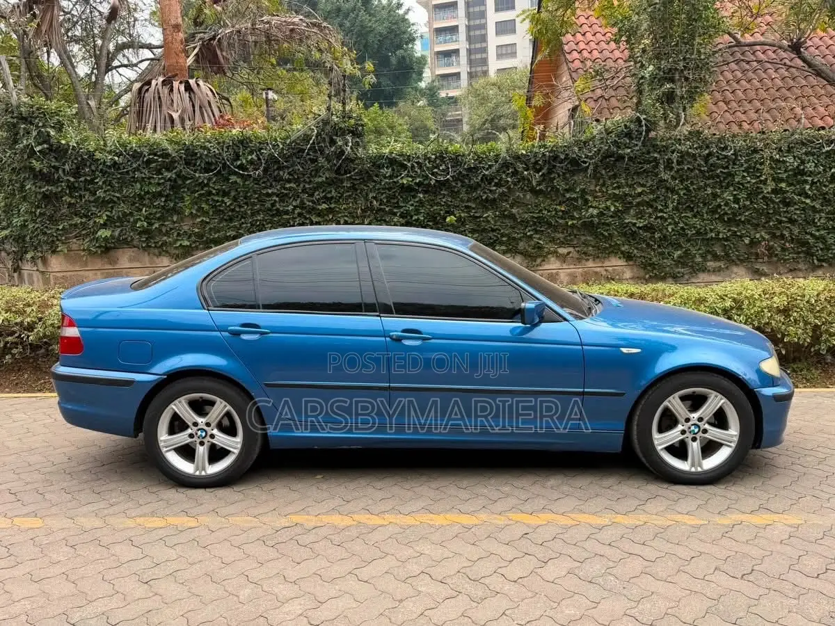 BMW 318i 2004 Blue