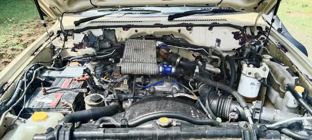 Nissan Patrol 2005 Gold