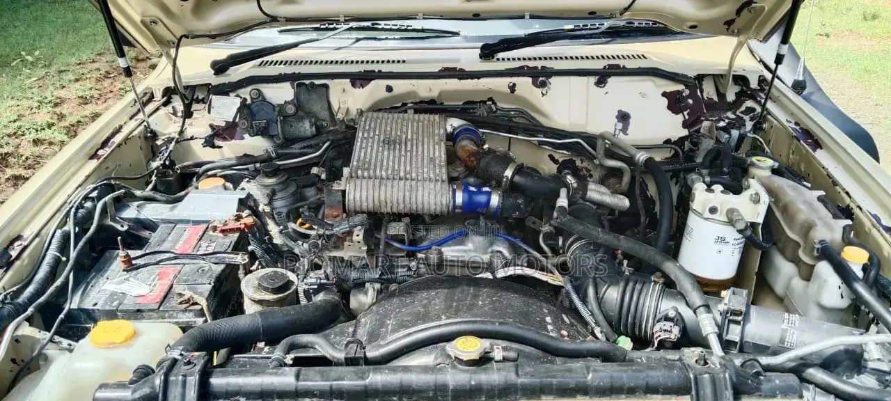 Nissan Patrol 2005 Gold