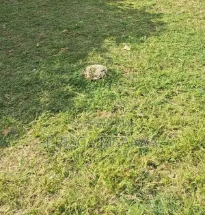 Plot for Sale