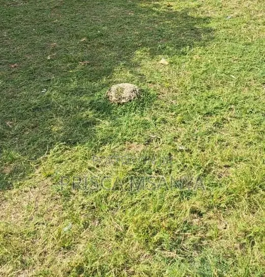 Plot for Sale