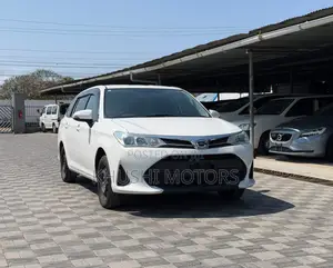Toyota Corolla Fielder 2019 White