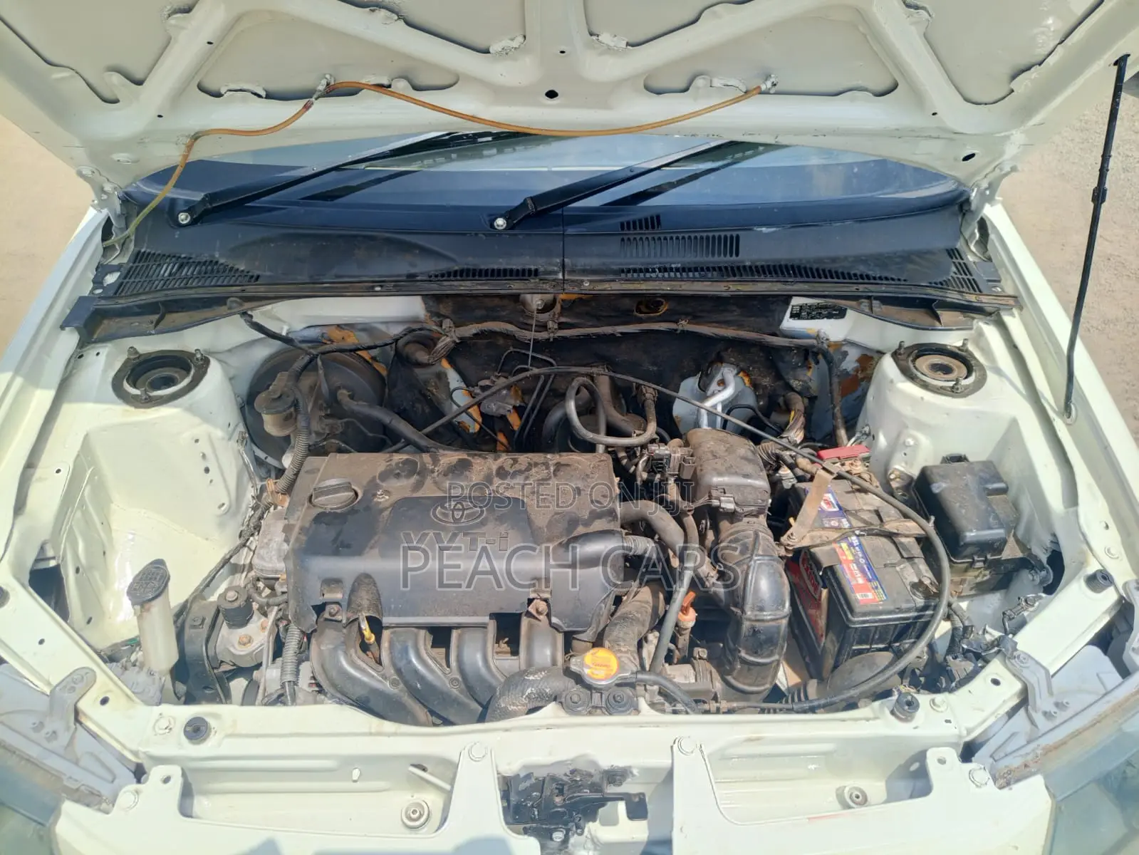 Toyota Succeed 2013 White