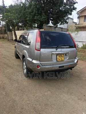 Nissan X-Trail 2005 Gray