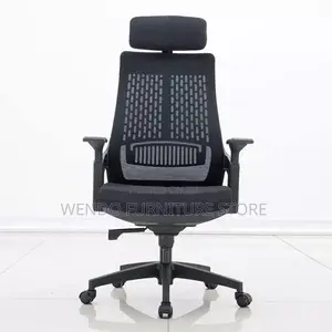 Office Chair : Lama Orthopedic Office Chair