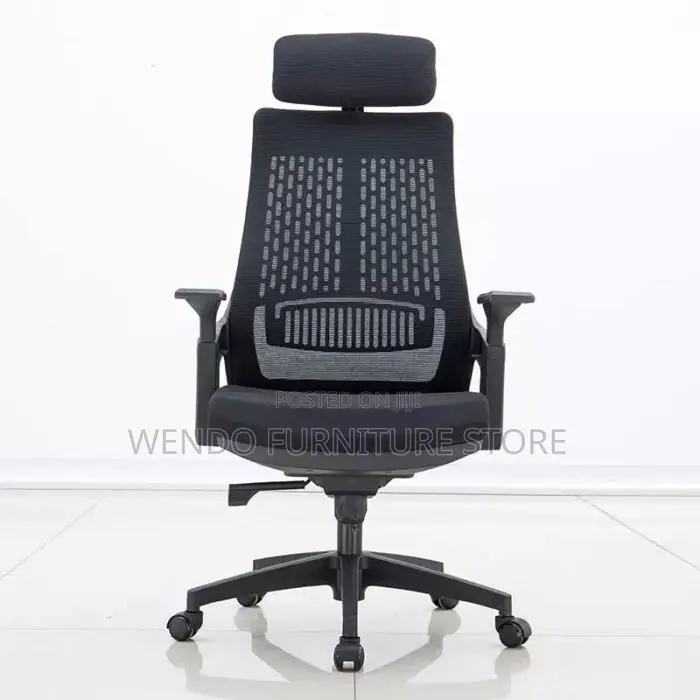 Office Chair : Lama Orthopedic Office Chair