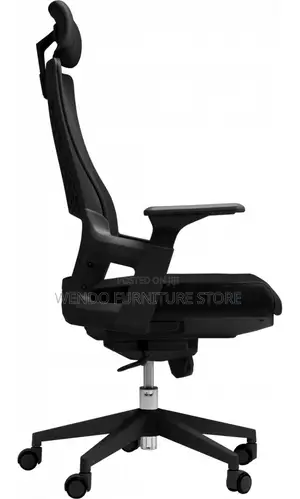 Office Chair : Lama Orthopedic Office Chair