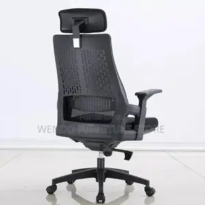 Office Chair : Lama Orthopedic Office Chair