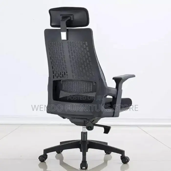 Office Chair : Lama Orthopedic Office Chair