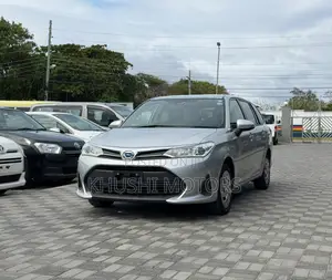 Toyota Corolla Fielder 2020 Silver