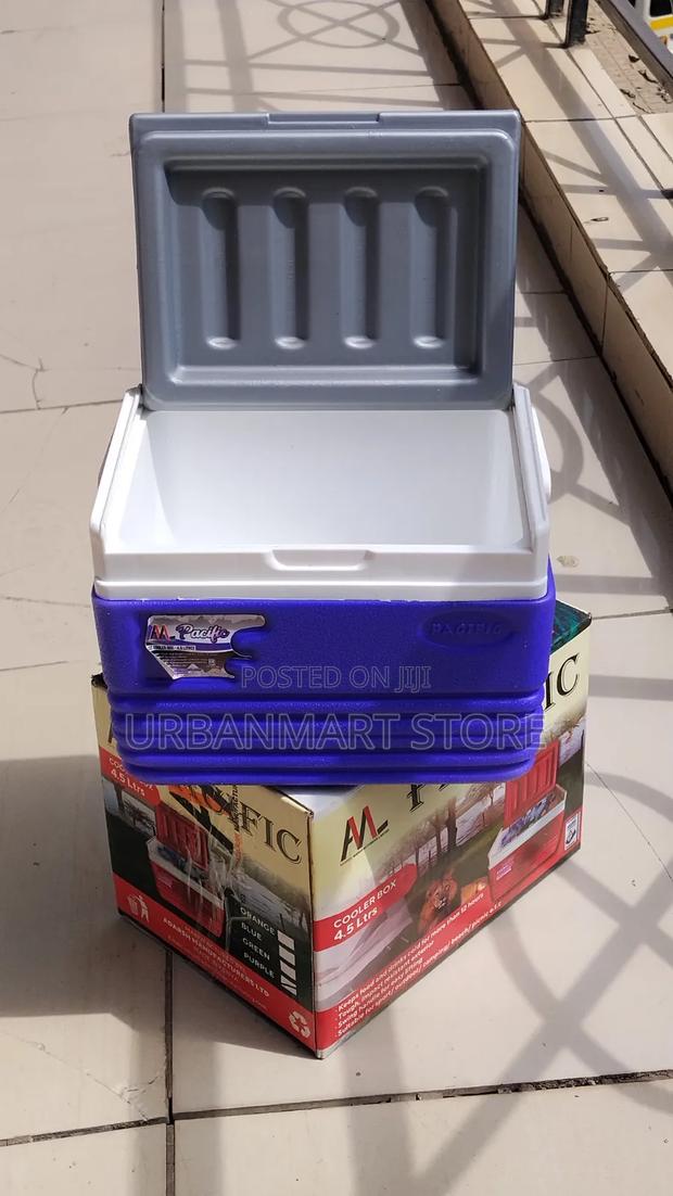 Pacific 4.5 Litres Ice Cooler Box With Carry Handle
