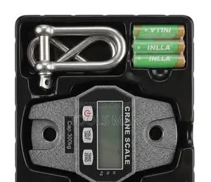 300kg Mini Crane Scale Digital Hanging Weight Balance OCS-L