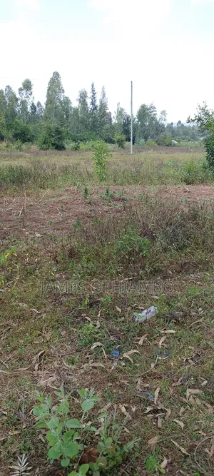 Land for Sell