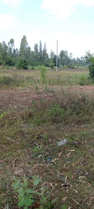 Land for Sell