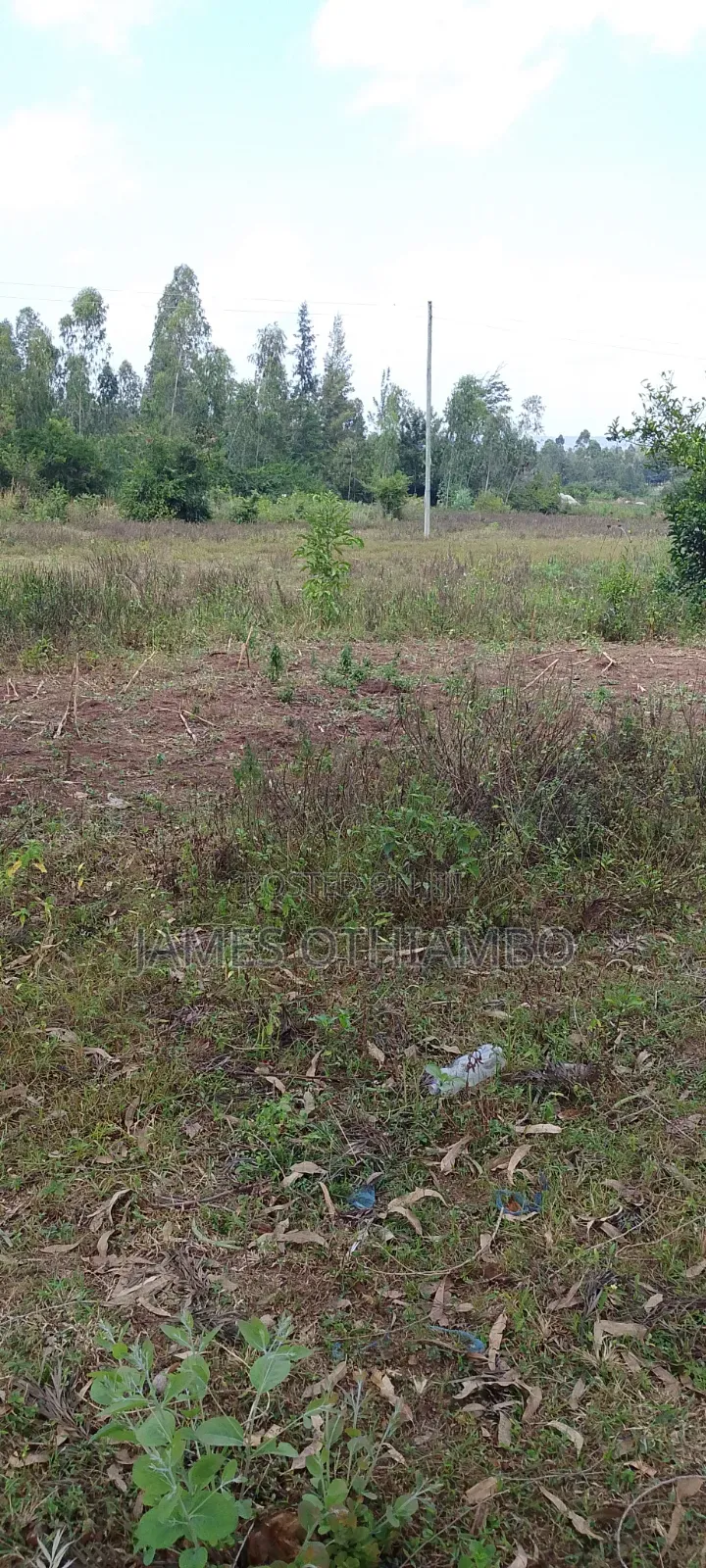 Land for Sell
