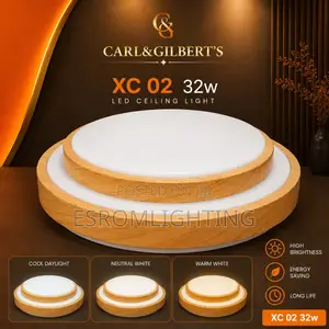 32W LED Ceiling Light