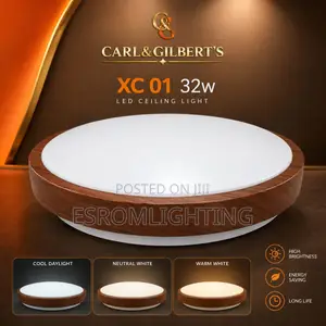32W LED Ceiling Light