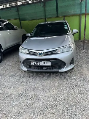 Toyota Axio 2019 Silver