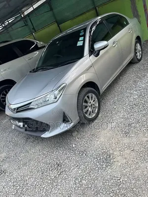 Toyota Axio 2019 Silver