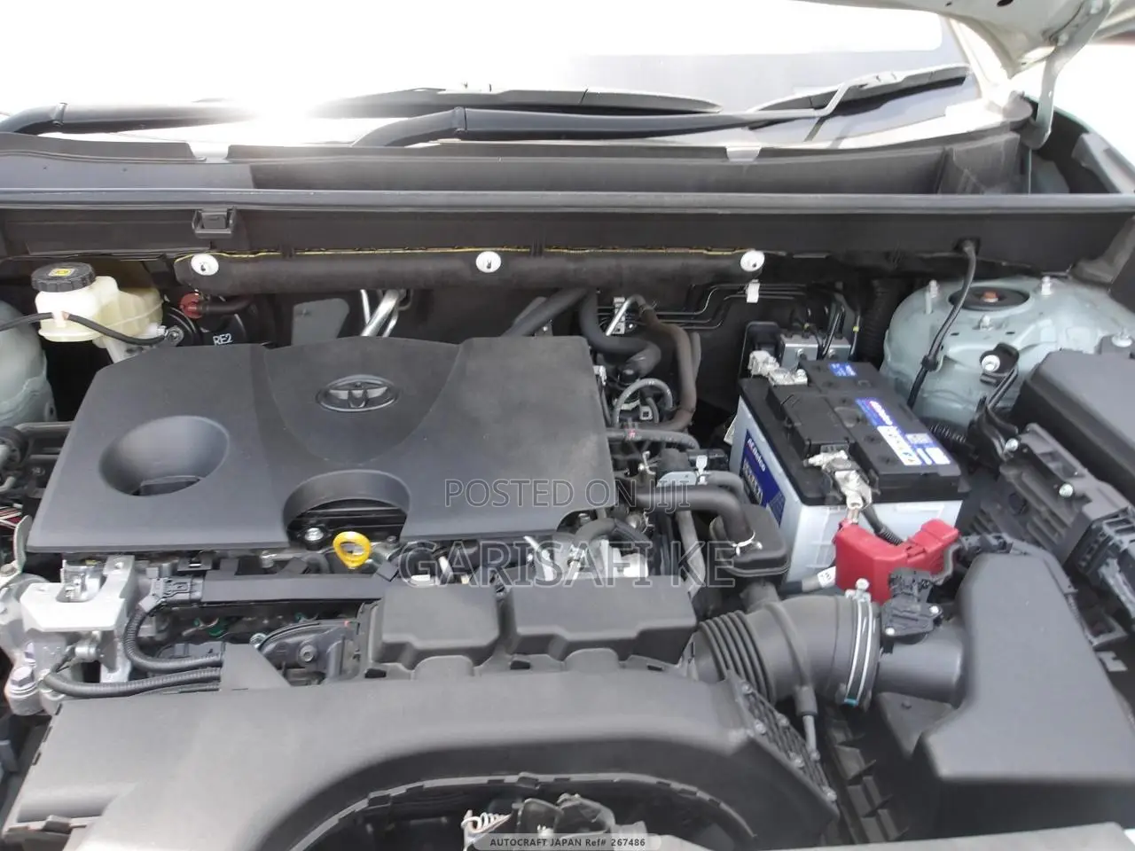 Toyota RAV4 2019 Green