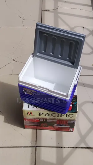 Pacific Portable Cooler Box 4.5 Litres at 1399