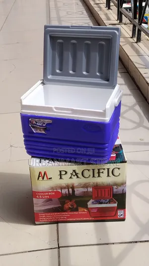 Pacific Portable Cooler Box 4.5 Litres at 1399