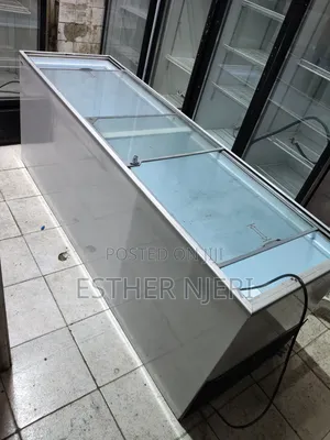 Commercial Display Deep Freezer on Sale
