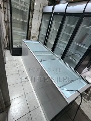 Commercial Display Deep Freezer on Sale