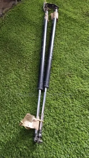 Delica Boot Shocks/Boot Lifter