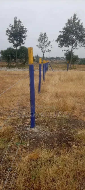 Prime Plots for Sale