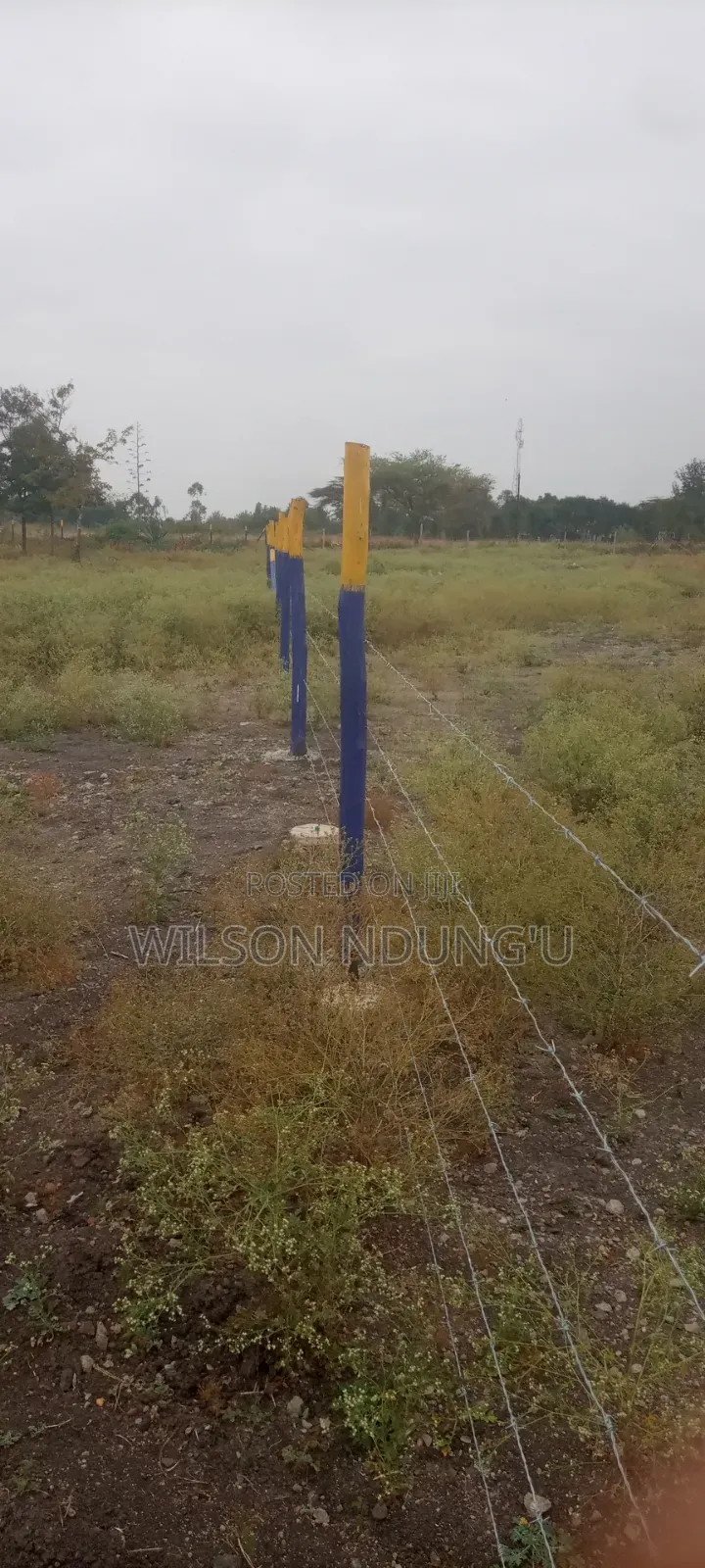 Prime Plots for Sale