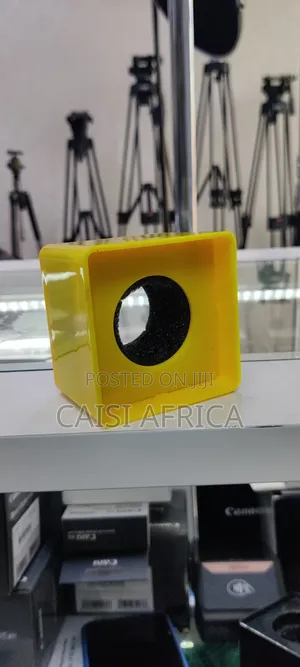 Microphone Flag Mic