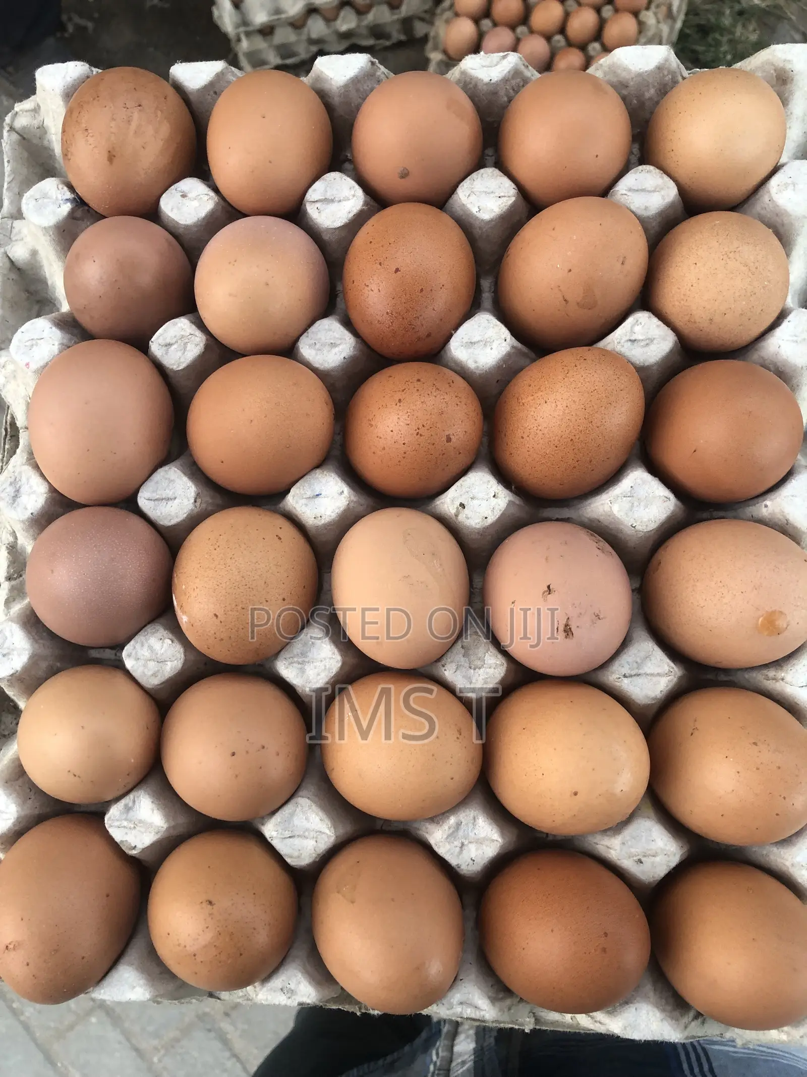 Egg’s Supplier Mombasa
