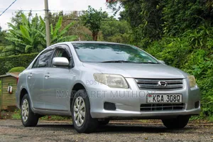 Toyota Axio 2006 Silver