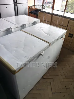 Ramtoms Freestanding Double Doors Deep Freezer