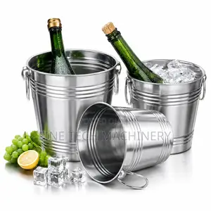 Stainless Steel Ice Buckets