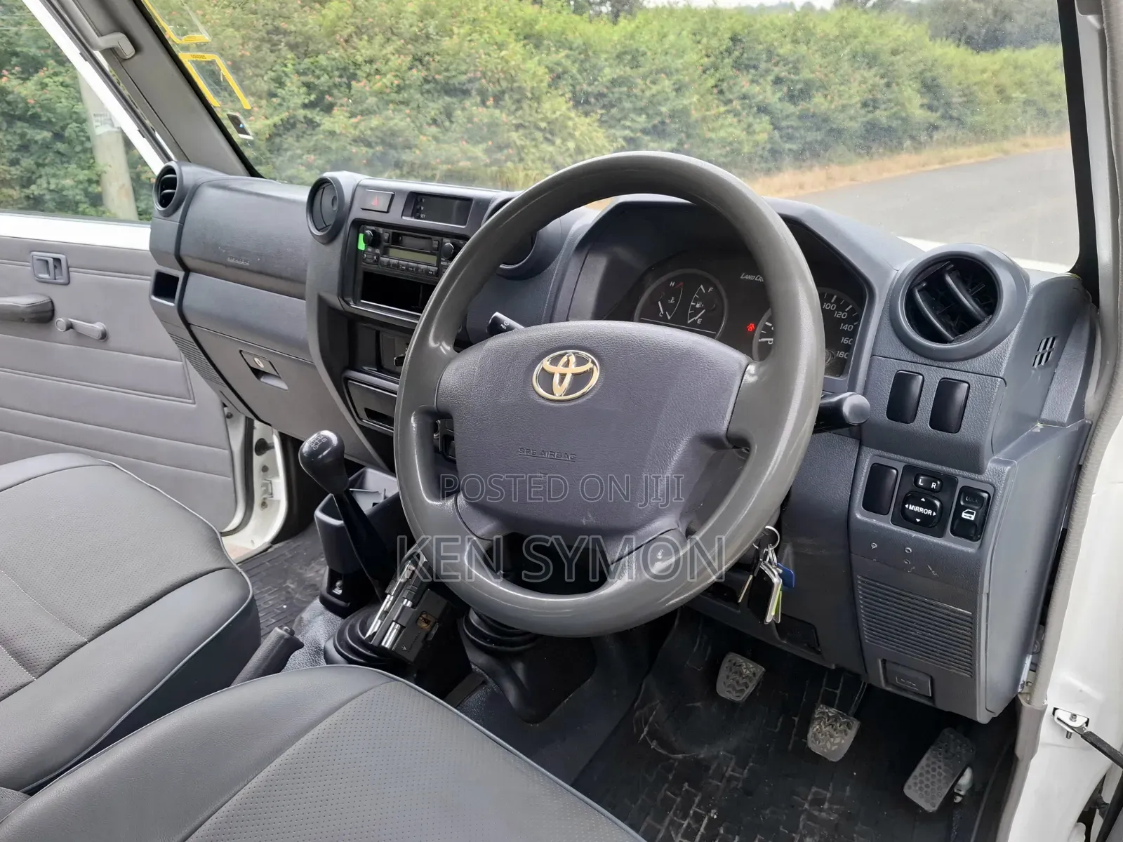 Toyota Land Cruiser 2010 Pearl