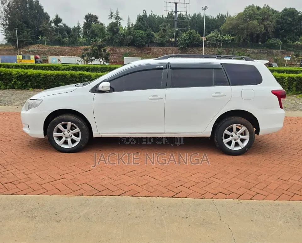 Toyota Corolla Fielder 2008 White