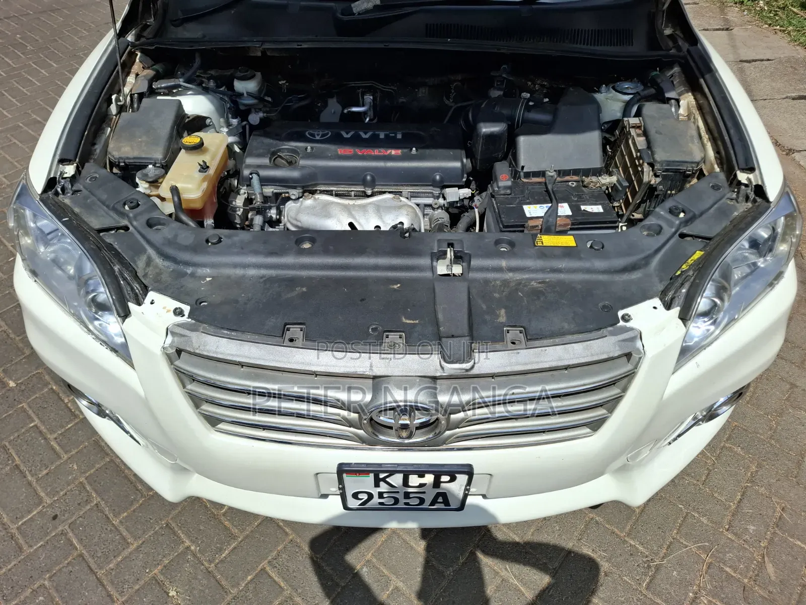 Toyota Vanguard 2010 White